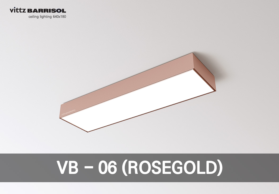 VB - 06 (ROSEGOLD)